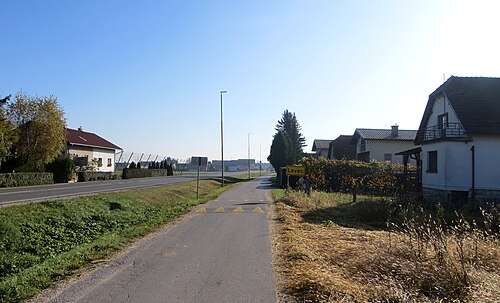 Levec (Žalec)