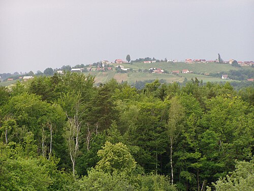 Hum pri Ormožu (Ormož)