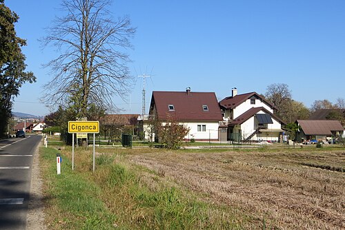 Cigonca (Slovenska Bistrica)