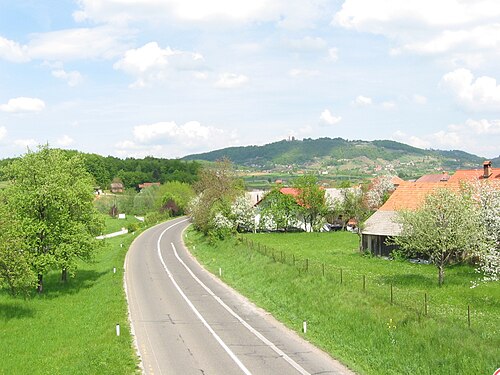 Dolenje Kronovo (Šmarješke Toplice)