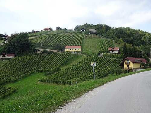 Straža na Gori (Šentjur)