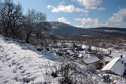 Podgorje (Koper)