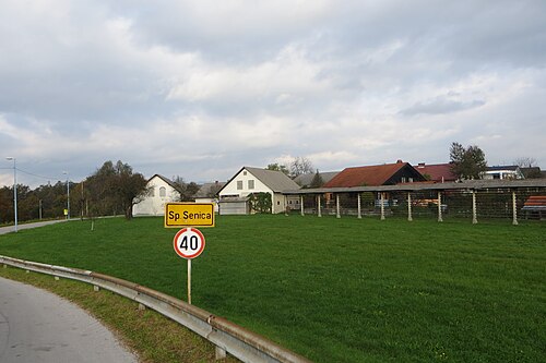 Spodnja Senica (Medvode)