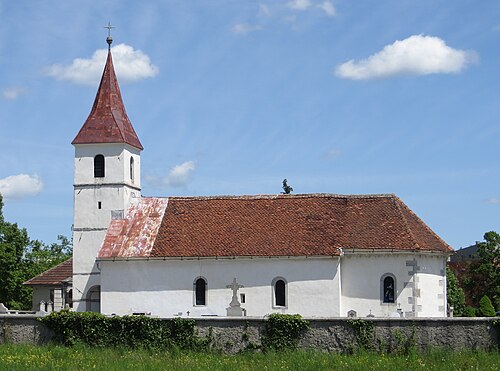 Cerknica (Primorsko-notranjska)