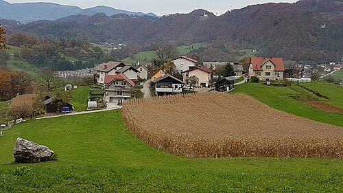 Dolenja vas (Zagorje ob Savi)