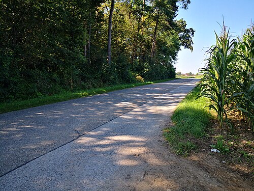 Podova (Rače - Fram)
