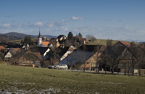 Stara Vrhnika (Vrhnika)