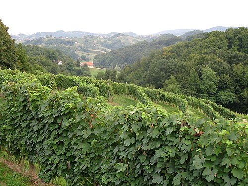 Mali Okič (Cirkulane)