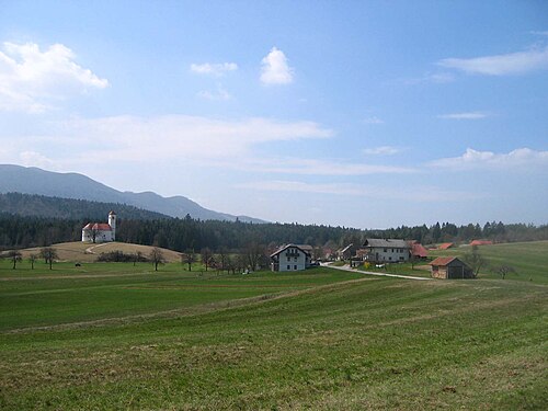 Zelše (Cerknica)