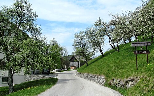 Bukovo (Cerkno)