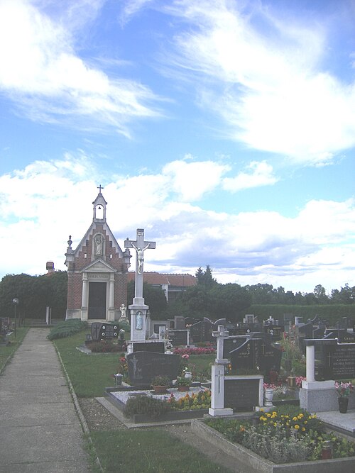 Petanjci (Tišina)