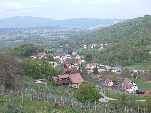 Cerina (Brežice)