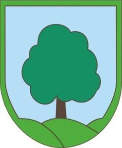 Grb občine Ravne na Koroškem