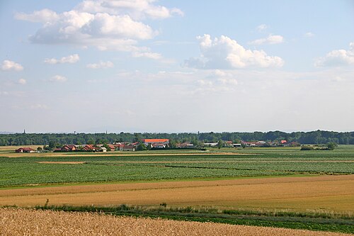 Markišavci (Murska Sobota)