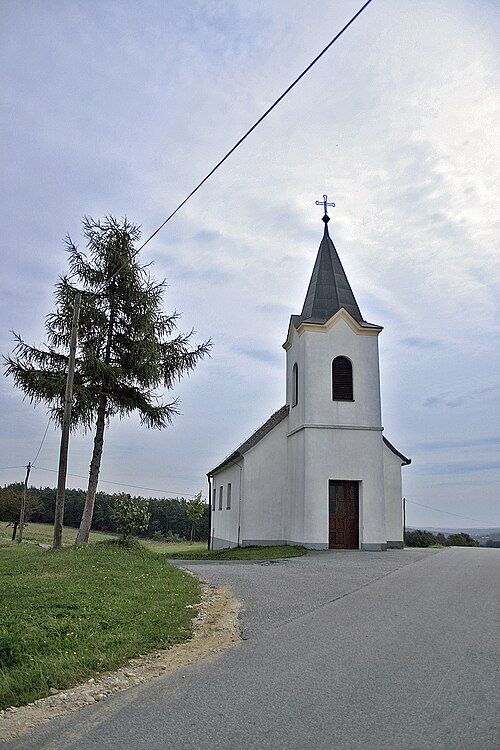 Vidonci (Grad)