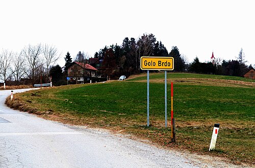 Golo Brdo (Medvode)