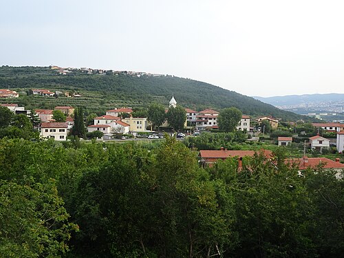 Spodnje Škofije (Koper)