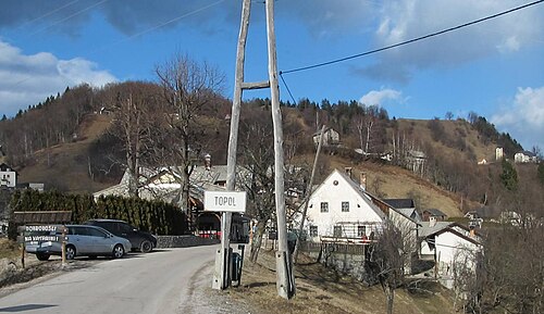 Topol pri Medvodah (Medvode)