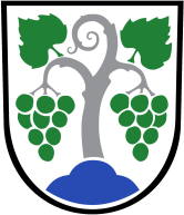 Grb občine Vipava
