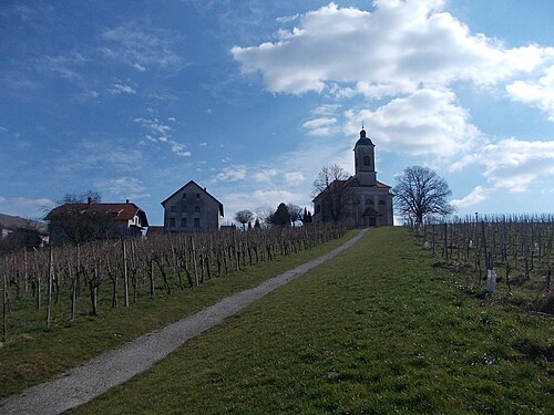 Radenci (Pomurska)