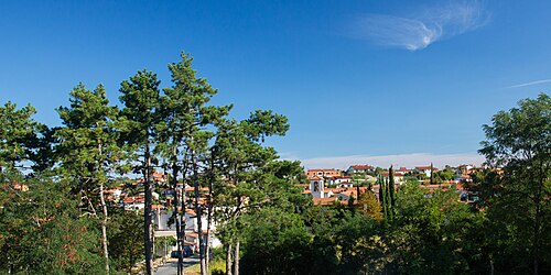 Gažon (Koper)