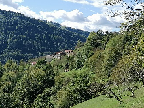 Plužnje (Cerkno)