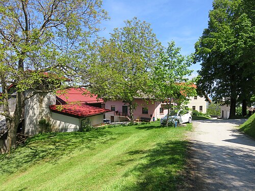 Črni Vrh (Tabor)