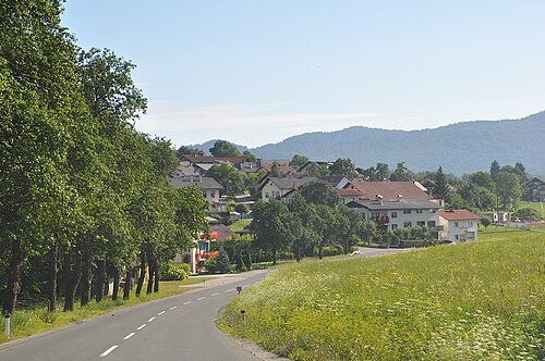 Zapotok (Sodražica)