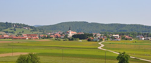 Videm (Dobrepolje)