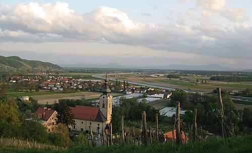 Celestrina (Maribor)