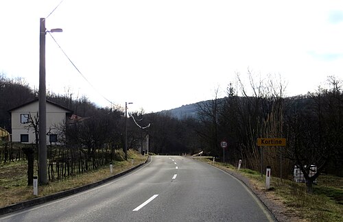 Kortine (Koper)