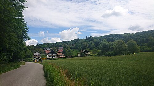 Mrzlava vas (Brežice)