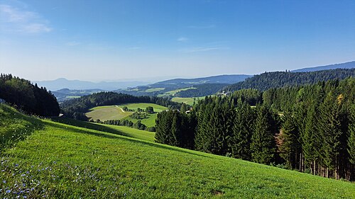 Frajhajm (Slovenska Bistrica)