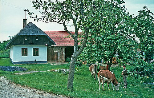 Otovci (Puconci)