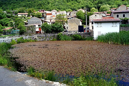 Rakitovec (Koper)
