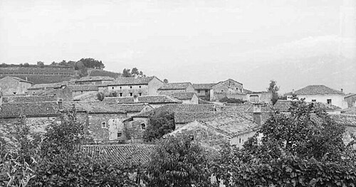Podraga (Vipava)
