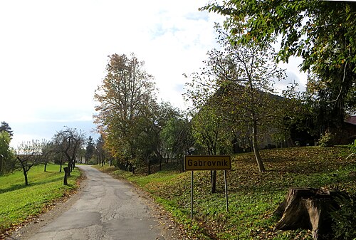 Gabrovnik (Slovenske Konjice)