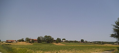 Zenkovci (Puconci)