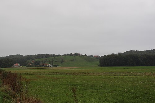 Spodnje Grušovje (Slovenske Konjice)