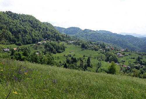 Spodnje Palovče (Kamnik)