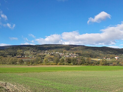 Pivola (Hoče - Slivnica)