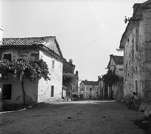 Javorje (Hrpelje-Kozina)