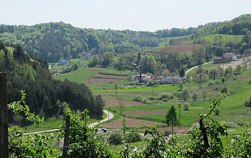 Dolič (Kuzma)