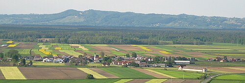 Župečja vas (Kidričevo)