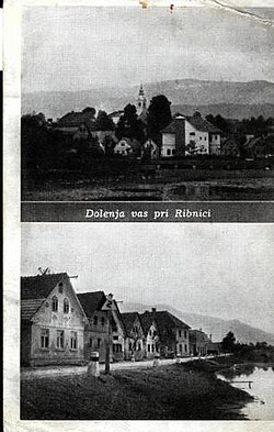 Dolenja vas (Ribnica)