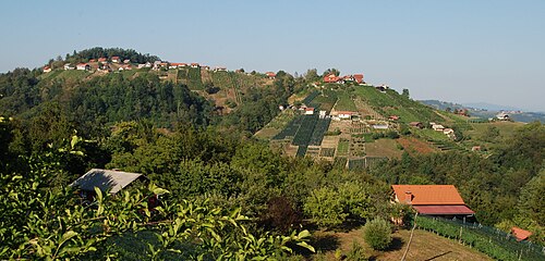 Ravnik (Šentrupert)
