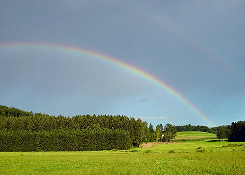 Račje selo (Trebnje)