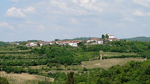 Vedrijan (Brda)