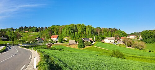 Petelinjek (Novo mesto)