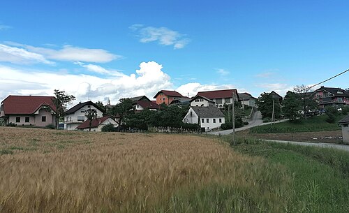 Grmovlje (Škocjan)